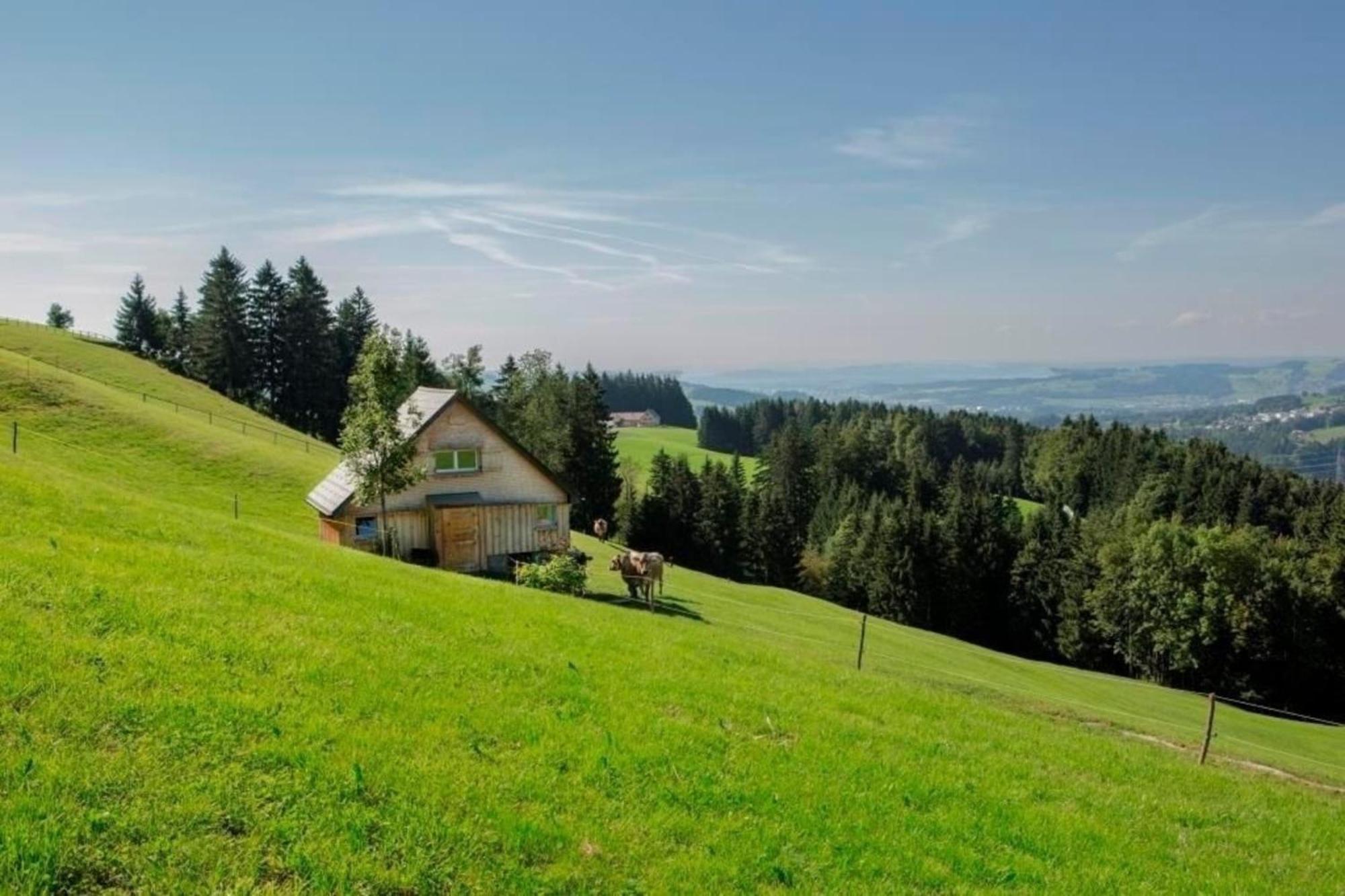 Bauernhof Fendrig - Neue Wohnung Haslen Exterior foto