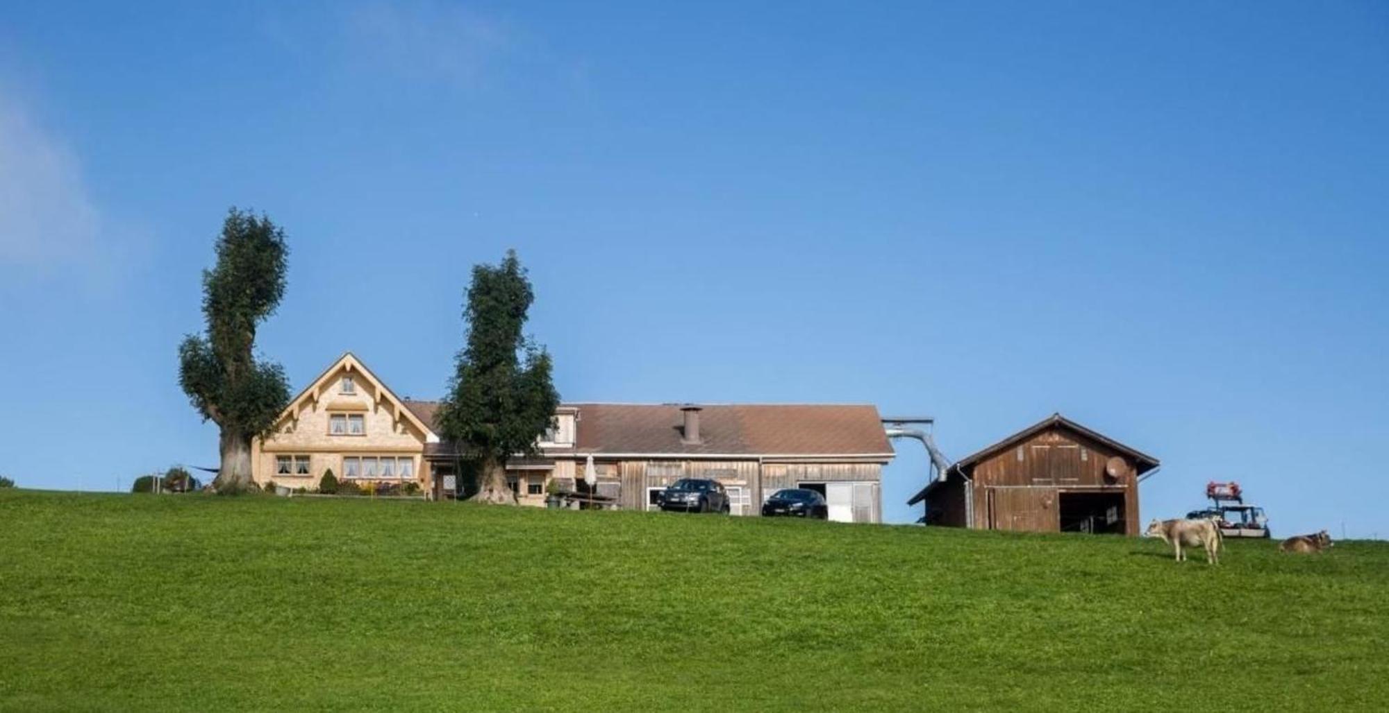 Bauernhof Fendrig - Neue Wohnung Haslen Exterior foto